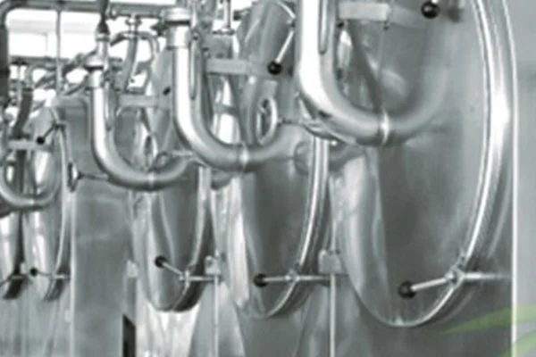 Modified Corn Starch E1442 Cold Swelling Modified Corn Starch E1442 Cold Swelling